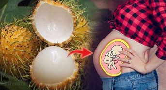 Mẹ Bầu 3 Tháng Đầu Ăn Chôm Chôm Được Không?