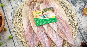 Tác dụng của mực khô và lưu ý khi sử dụng mực khô bạn nên biết